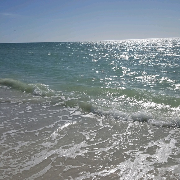 Meet your Posher, Susan - Picture 1 of 1